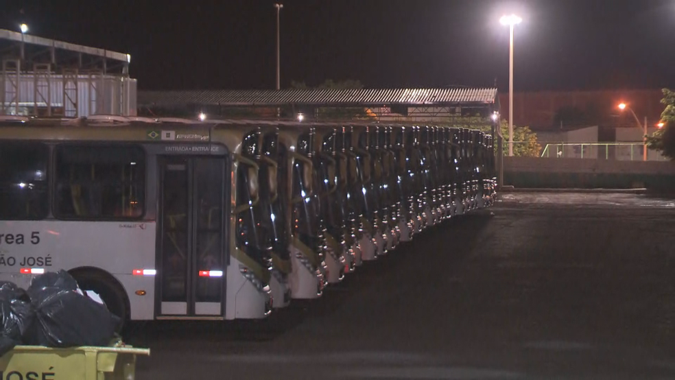Ônibus enfileirados em garagem de ônibus nesta sexta-feira (30) (Foto: TV Globo/Reprodução)