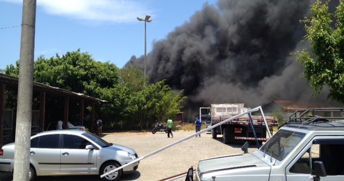 G1 Incêndio em mata atinge terreno ao lado do pátio do Detran em