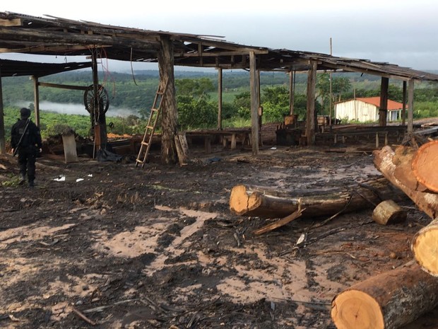 Operação Maravalha em Imperatriz (Foto: Divulgação/ Polícia Federal)