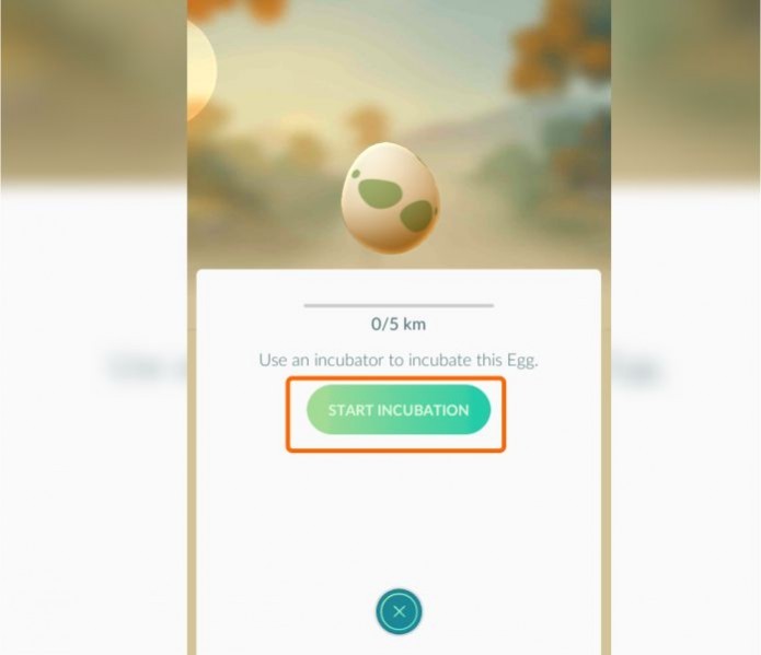 Pokemon Go: inicie a incubação colocando o ovo na incubadora (Foto: Reprodução/Paulo Vasconcellos)