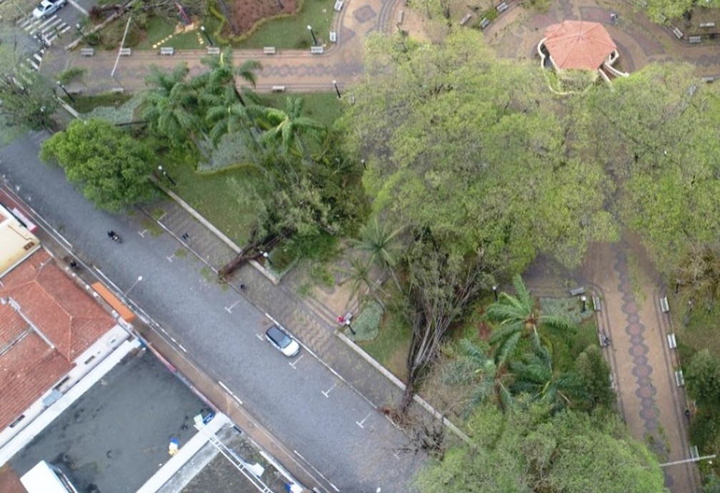 Estragos causados pelo temporal em Pirassununga — Foto: Guarda Municipal/Divulgação
