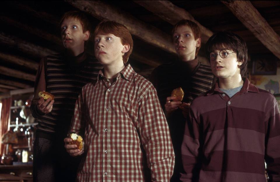 Harry Potter e os irmãos Weasley. (Foto: Reprodução)