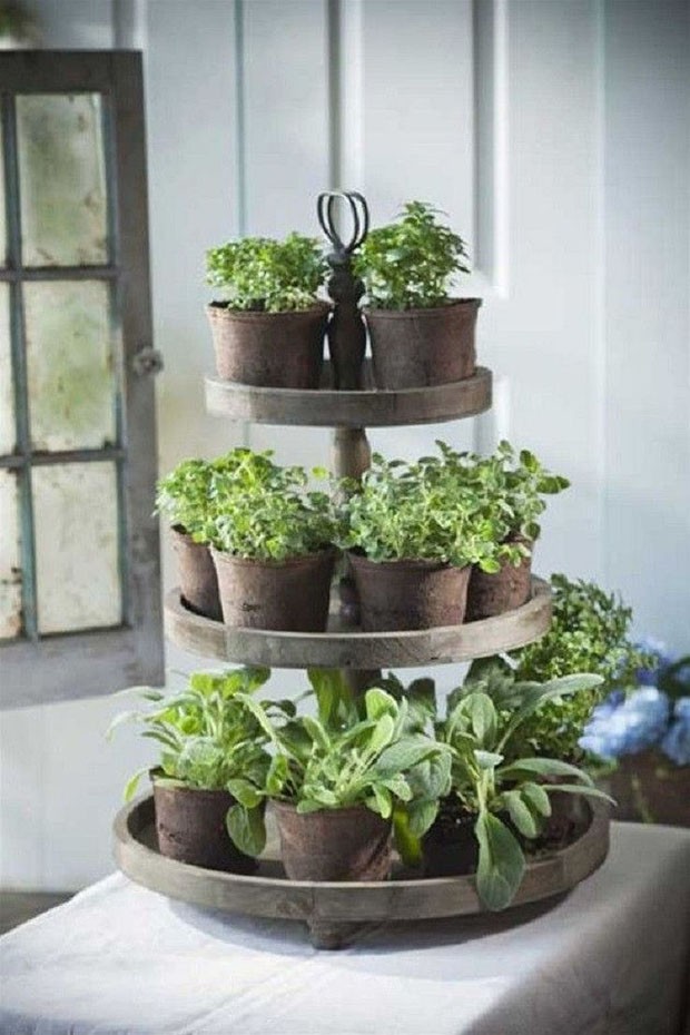 10 ideias para ter uma horta requintada dentro de casa (Foto: Divulgação)