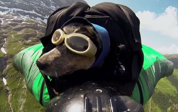 Dean Potter levou cachorro em salto de base jump usando wingsuit na Suíça (Foto: Reprodução/YouTube/Dean Potter)