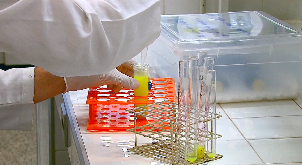 Cientistas se preparam para uma experiência com outro tipo de bactéria (Foto: Paulo Chiari/EPTV)