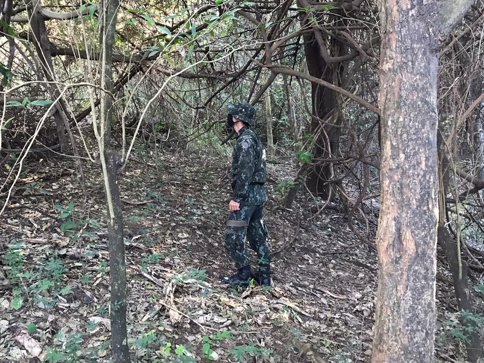 Pol&iacute;cia elabora auto de infra&ccedil;&atilde;o de R$ 162 mil ap&oacute;s notar &aacute;rea de preserva&ccedil;&atilde;o degradada em Mar&iacute;lia &mdash; Foto: Pol&iacute;cia Ambiental/Divulga&ccedil;&atilde;o