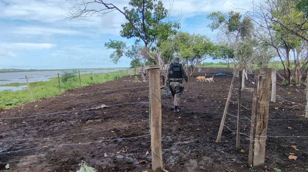 Homem é multado em R$ 5 mil por construção ilegal em área de matas ciliares  — Foto: PMA/ Divulgação