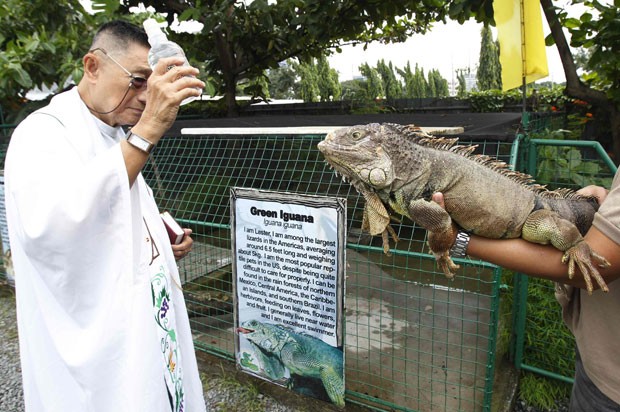 Iguana recebe a bênção em uma fazenda de crocodilos na região metropolitana de Manila, nas Filipinas (Foto: Romeo Ranoco/Reuters)