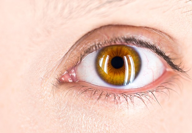 eye, olho, olhos, retina, ciencia, saude,  (Foto: Unsplash)