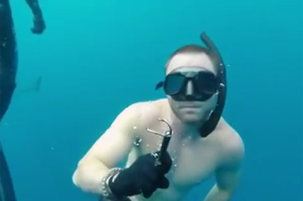 Mergulhador exibe anzol que estava encravado no tubarão (Foto: Reprodução/Facebook/Chris Cameron)
