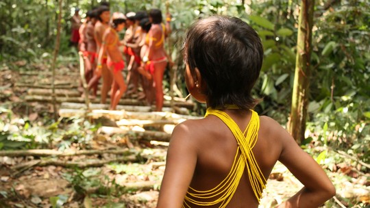 Indígenas denunciam abusos de garimpeiros: pelo menos 30 meninas teriam engravidado