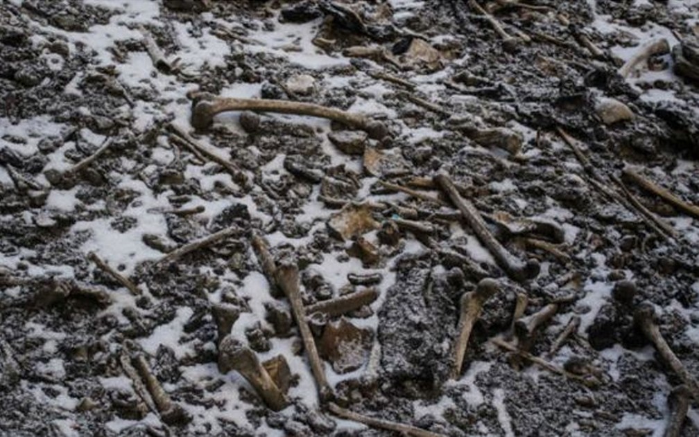 Os ossos de centenas de pessoas foram encontrados em 1942 por um guarda florestal â€” Foto: Himadri Sinha Roy/Nature Communications