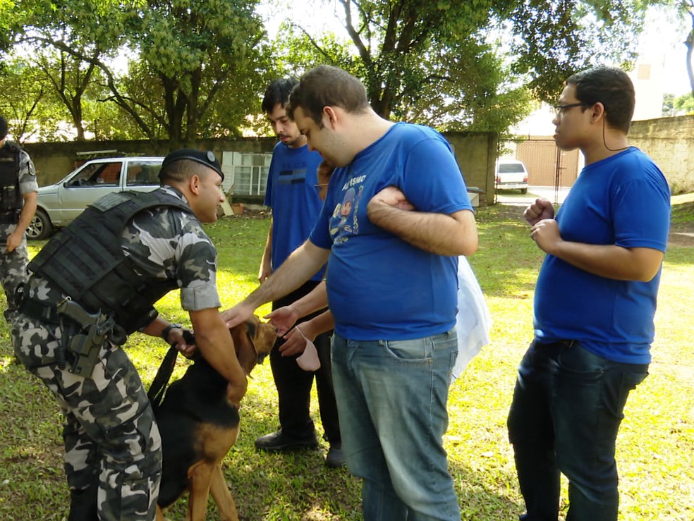 Cachorros da PM ajudam na socialização de autistas em Ponta Grossa — Foto: Reprodução/RPC