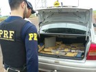 Jovem é preso transportando 189 kg de maconha em rodovia de MS