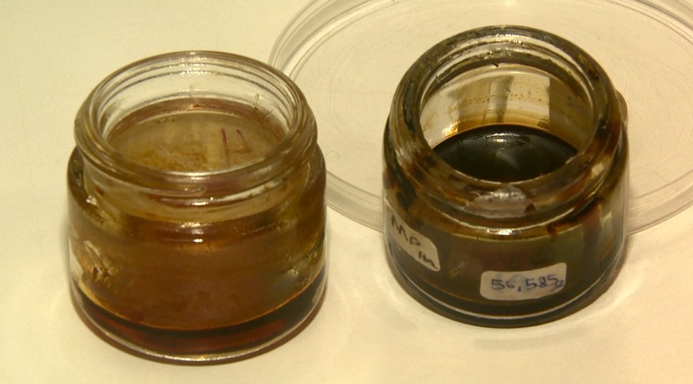 Pesquisadores combinaram mentol e mentona (Foto: Marlon Tavoni/EPTV)