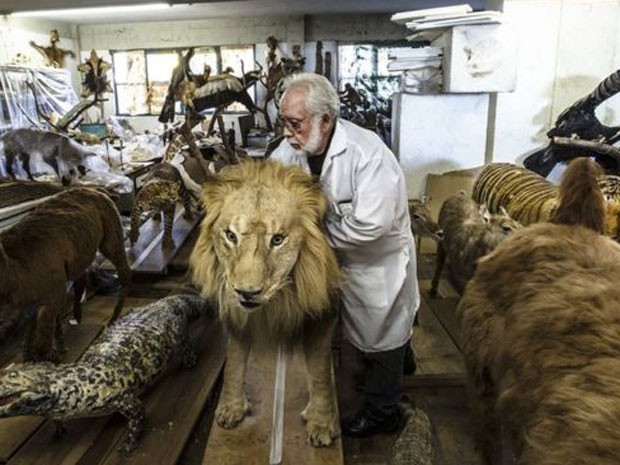 Professor João Galdino em meio ao acervo de mais de 6 mil animais empalhados, construído ao longo de cinco décadas  (Foto: Sergio Ranalli)