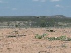Agricultores do sertão de PE não conseguem plantar por causa da seca