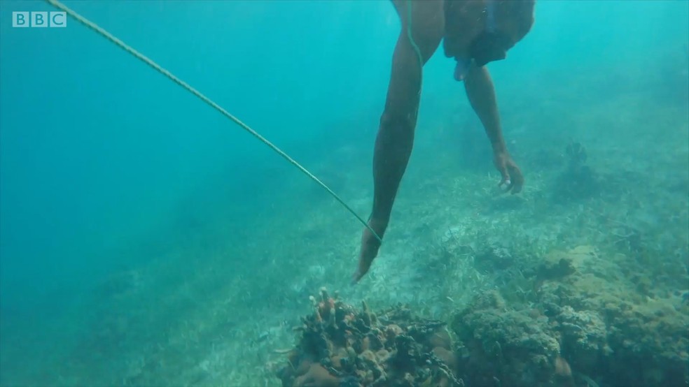 Ilha faz parte do arquipélago de San Bernardo (Foto: BBC)