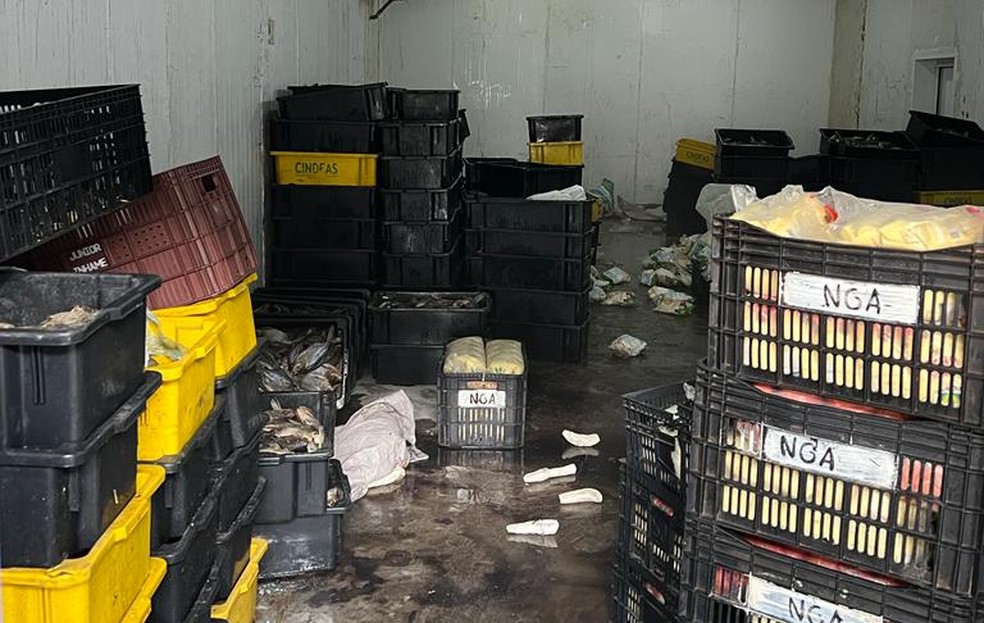 Alimentos estragados estavam dentro de galpões na sede da cooperativa — Foto: Divulgação/Vigilância Sanitária de João Pessoa