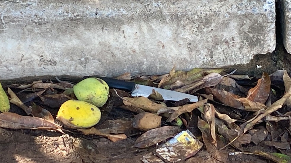 Faca usada no crime foi encontrada no local — Foto: Divulgação