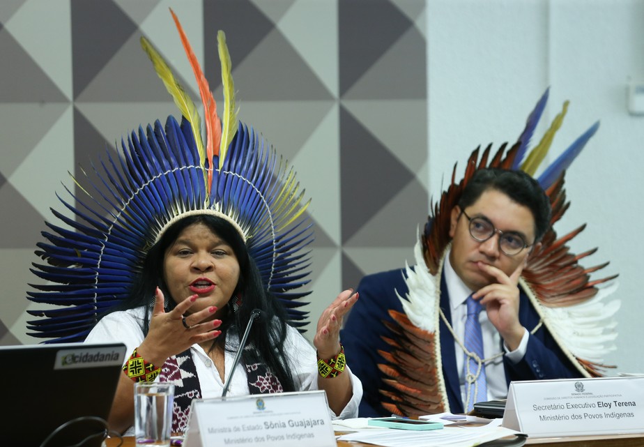 Sonia Guajajara na Comissão de Direitos Humanos, em 10 de maio: ministra lamenta mudança nas demarcações