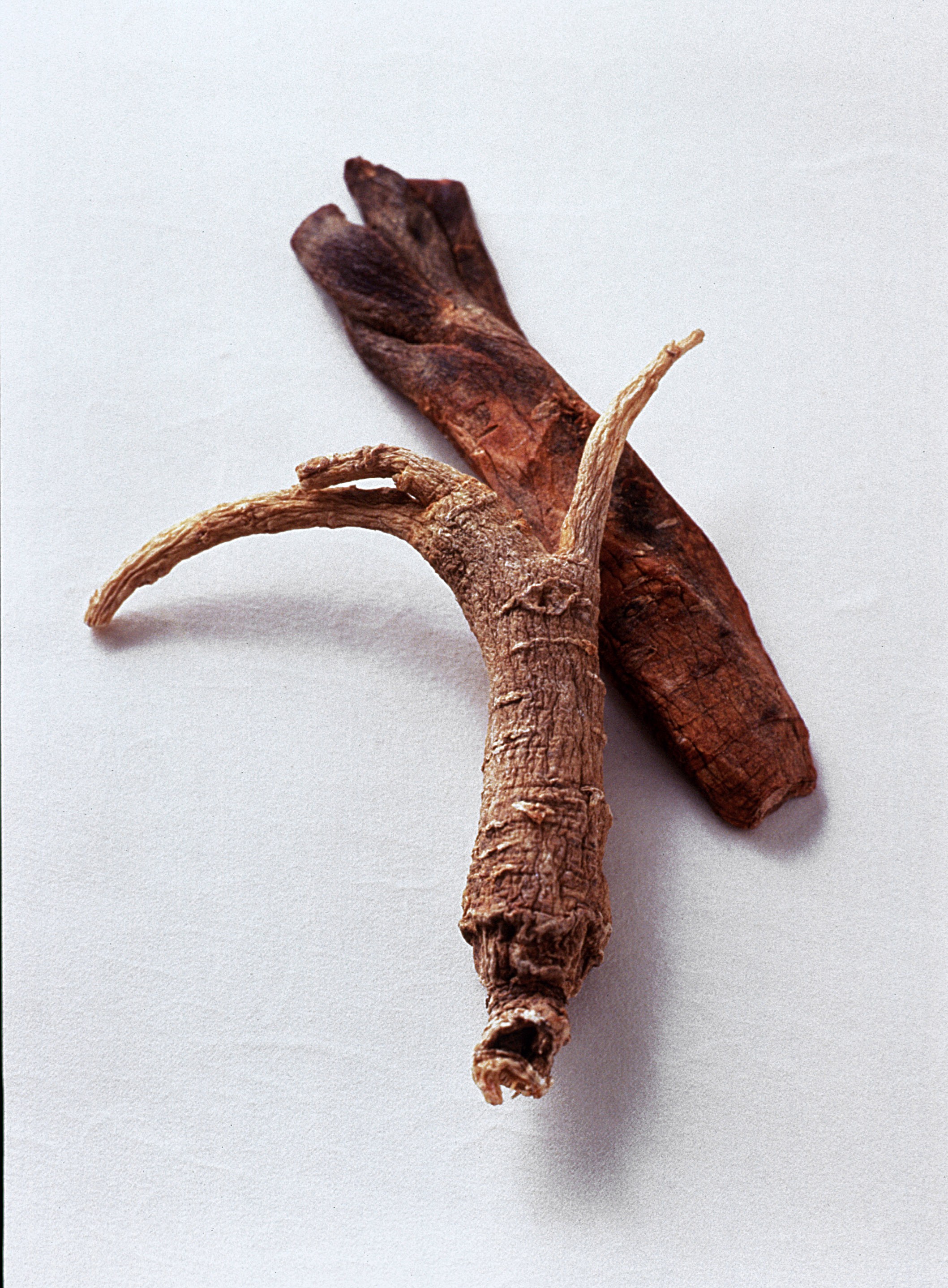 Raiz de ginseng, um dos afrodisíacos conhecidos por 'substituir' o Viagra (Foto: Getty Images / James Worrell )