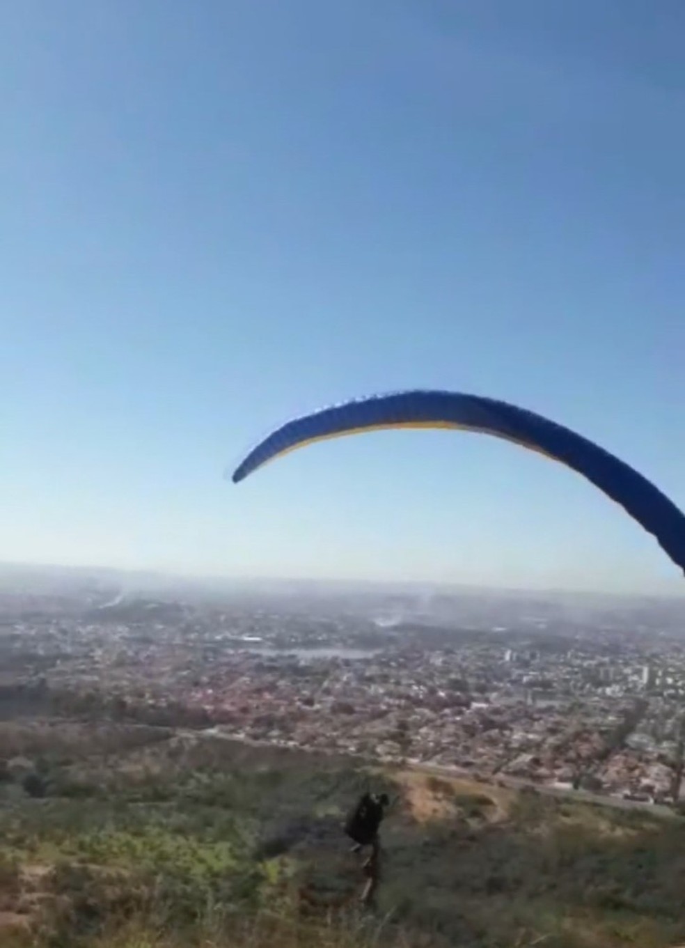 Cachorro ficou preso a um parapente em Sete Lagoas, na RegiÃ£o Central de Minas Gerais â?? Foto: ReproduÃ§Ã£o/TV Globo
