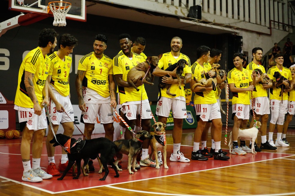 Jogadores se divertem com os animais da ONG  — Foto: Gilvan de Souza/Flamengo