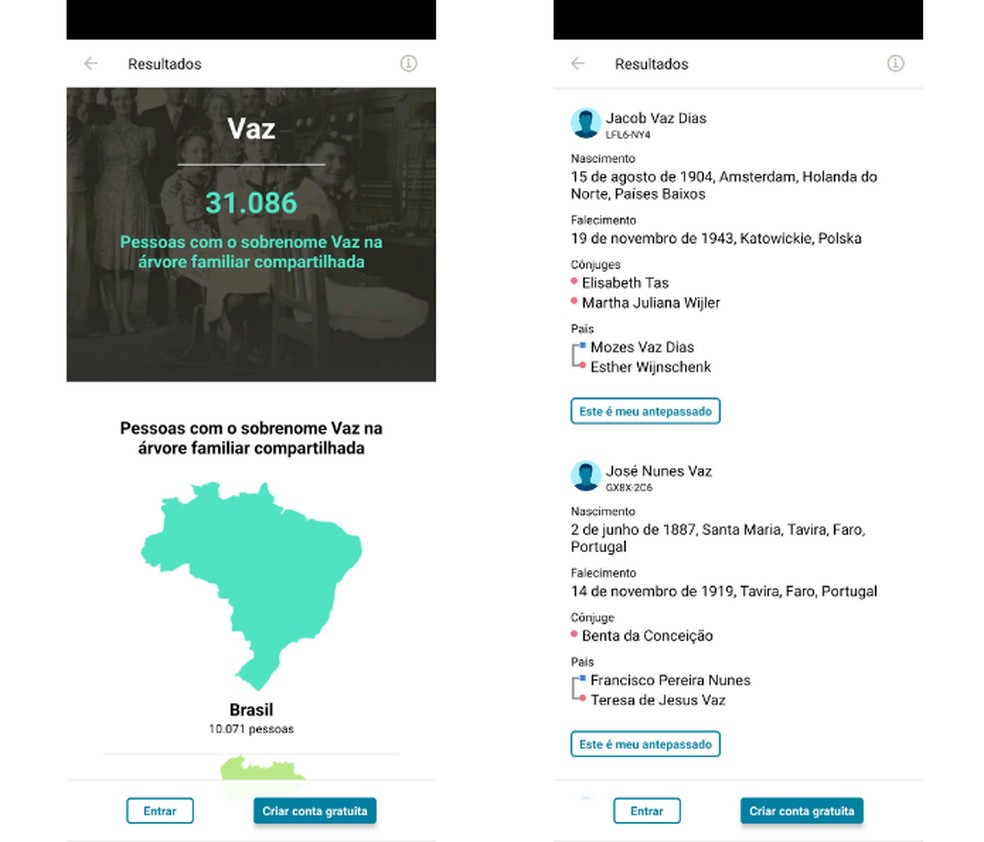 Plataforma exibe diferentes informações sobre descendentes, como nome completo, cidade, data de nascimento e falecimento — Foto: Reprodução/Mariana Tralback