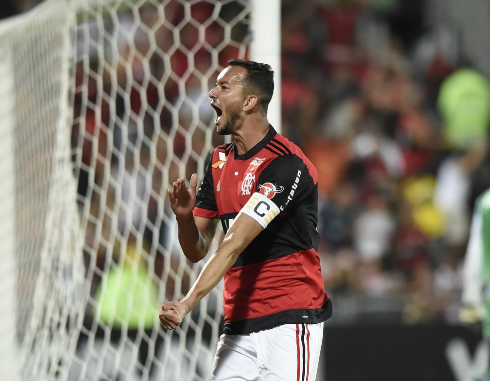 Flamengo x Bahia Ilha do Urubu Brasileir�o R�ver (Foto: Andr� Dur�o)