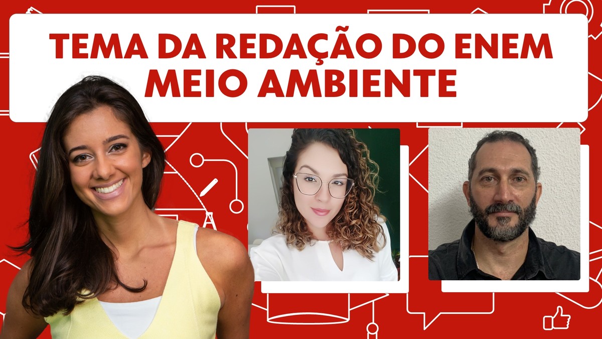 Enem 2021: leia modelo de redação nota mil sobre 'meio ambiente' | Enem ...