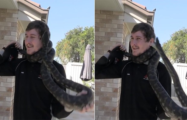 Jovem é surpreendido com picada de cobra enquanto se enrosca em seu pescoço (Foto: Reprodução/YouTube)