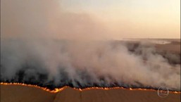 Como uma pandemia, o fogo se espalhou pelo planeta e a natureza sofreu em 2020