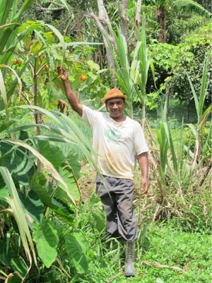 Zé da cana planta diversas culturas, de batata doce, mandioca e banana à hortaliças e cana-de-açúcar (Foto: Gabriela Gasparin/G1)