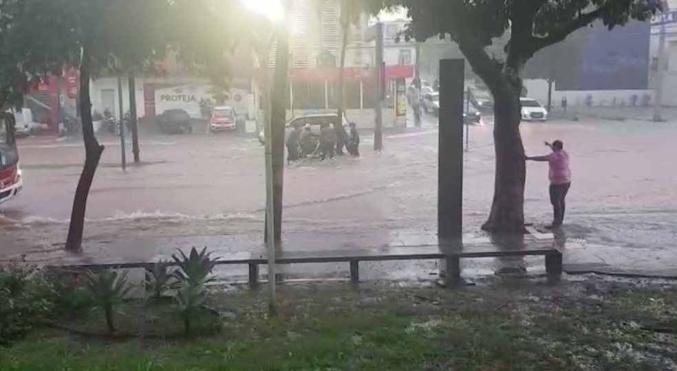 Grupo se arriscou para tirar motociclista do meio de avenida de Rio Preto  — Foto: Arquivo Pessoal 