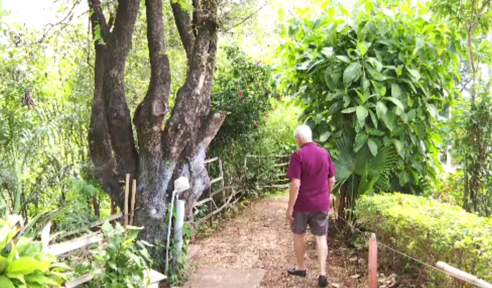 Milton caminha por área verde da qual cuida em Piracicaba — Foto: Marcos Pinguim/ EPTV