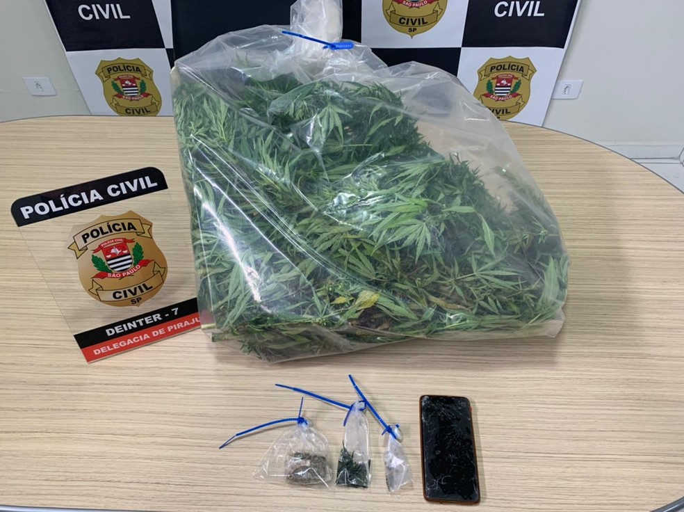 Polícia Civil apreendeu vasos, tabletes e folhas secas de maconha em Piraju (SP) — Foto: Polícia Civil/Divulgação