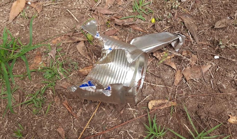Gato é socorrido pelos bombeiros após ficar com cabeça completamente presa em lata no oeste da Bahia — Foto: Divulgação/Corpo de Bombeiros