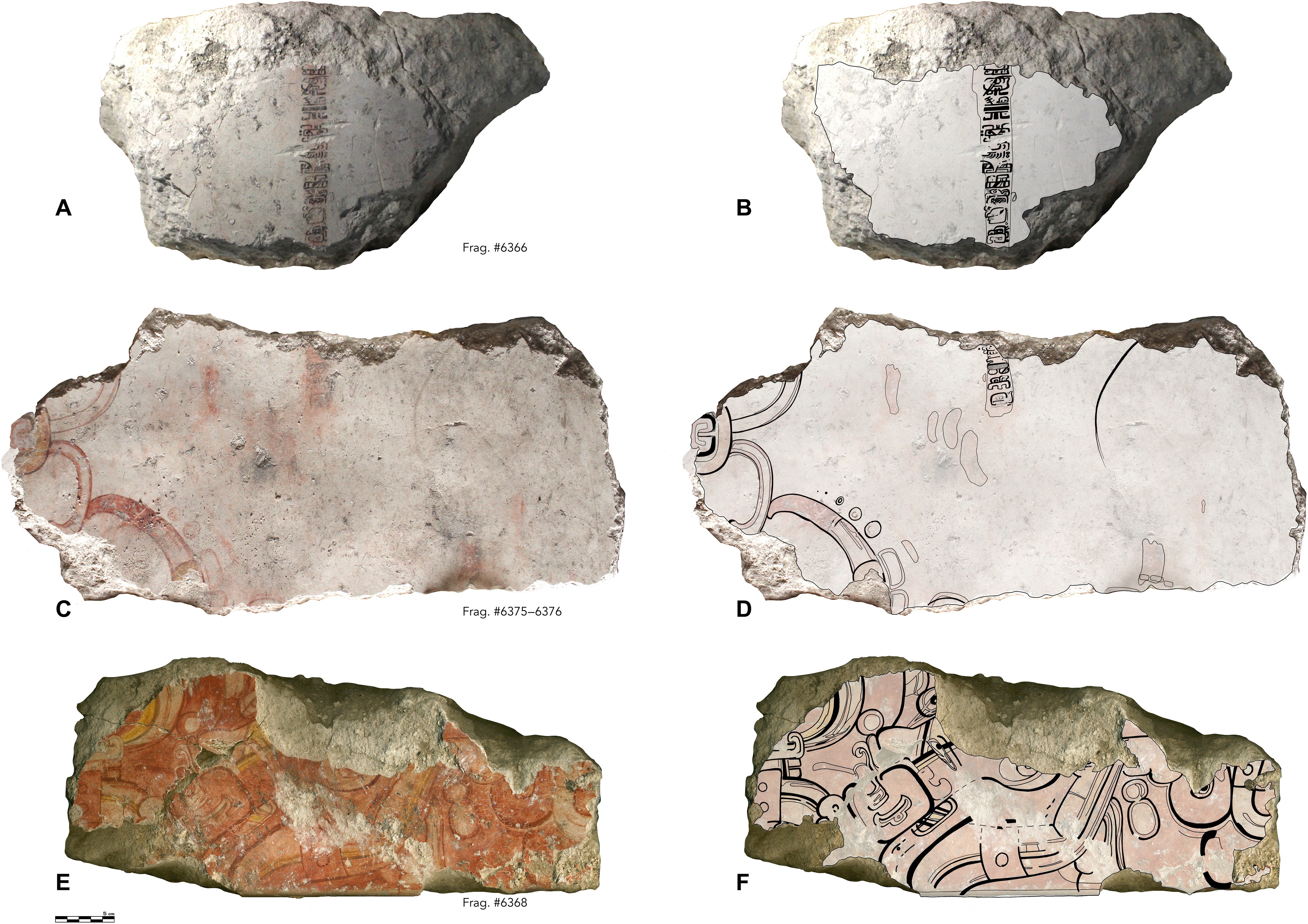 Fragmentos de calendário maia datam entre 300 a.C. e 200 a.C. (Foto: Heather Hurst/ William Saturno/ David Stuart)