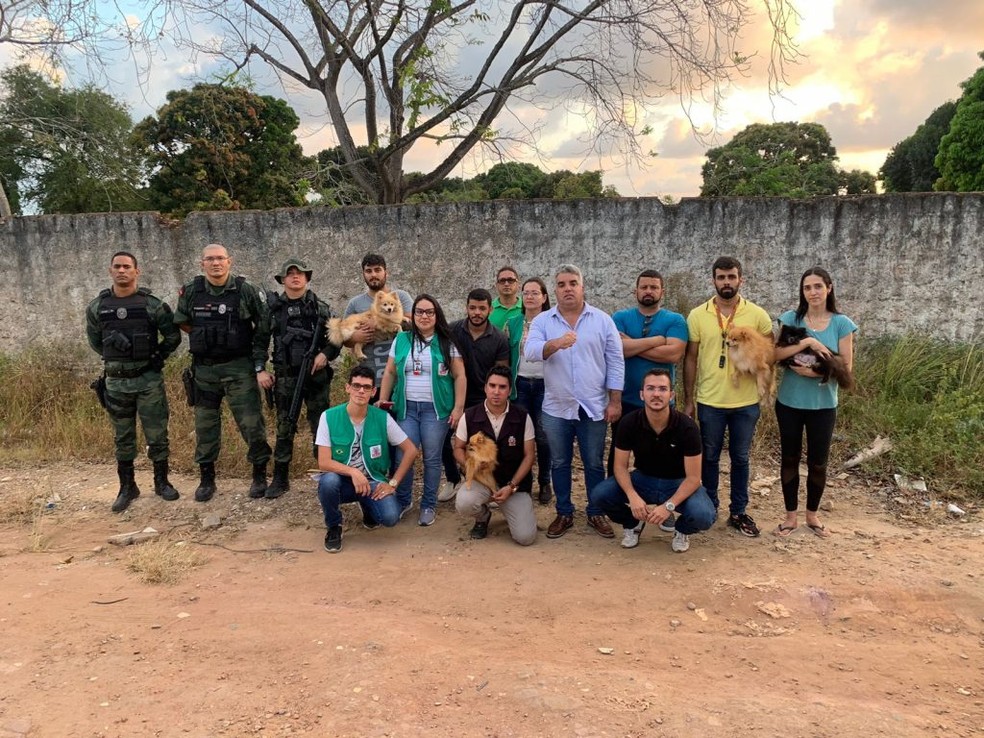 Equipes desarticulam canil clandestino em João Pessoa. — Foto: Foto: Divulgação/Seman