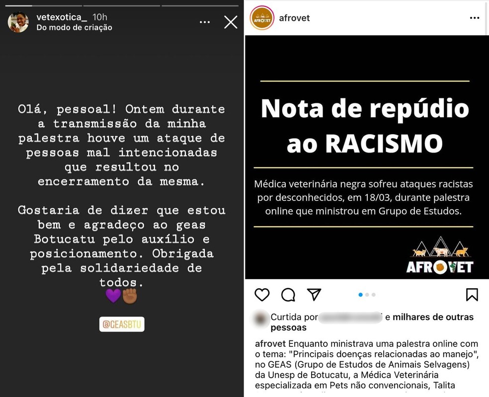 Afrovet emitiu nota de repúdio após ataque racista durante palestra em Botucatu — Foto: Instagram/Reprodução