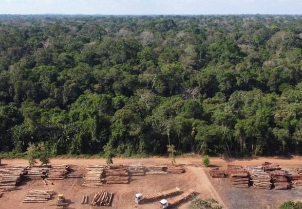 Acordo negociado em conferência sobre mudança climática deve prever compromisso de proteção de terras indígenas e de zerar o desmatamento ilegal (Foto: Reuters/Leonardo Benassato via BBC Brasil)