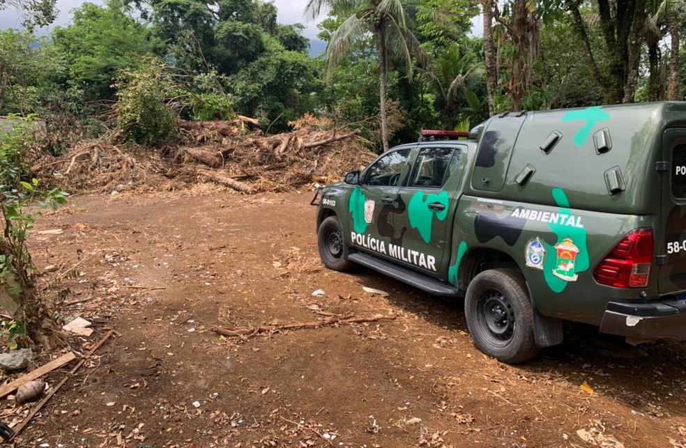 Terreno desmatado em Angra dos Reis — Foto: Disque Denúncia