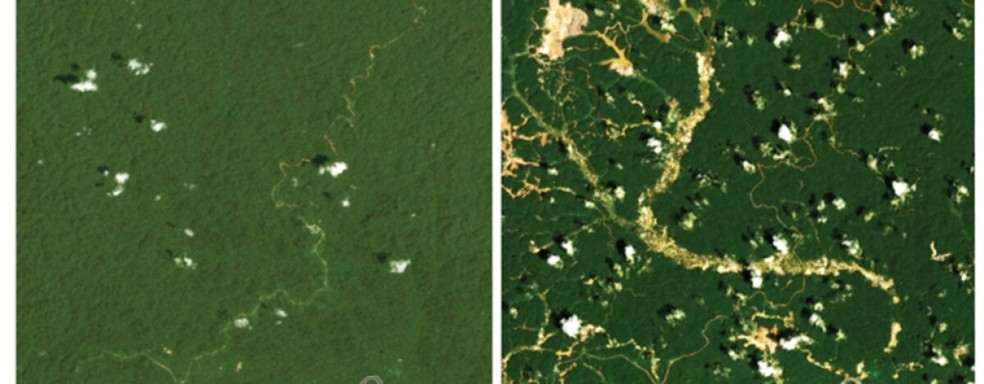 O rio Maroni na fronteira Suriname-Guiana estava relativamente inalterado em 1993, mas em 2021, o desmatamento causou fluxos lamacentos  — Foto: Nasa Landsat/U.S. Geological Survey