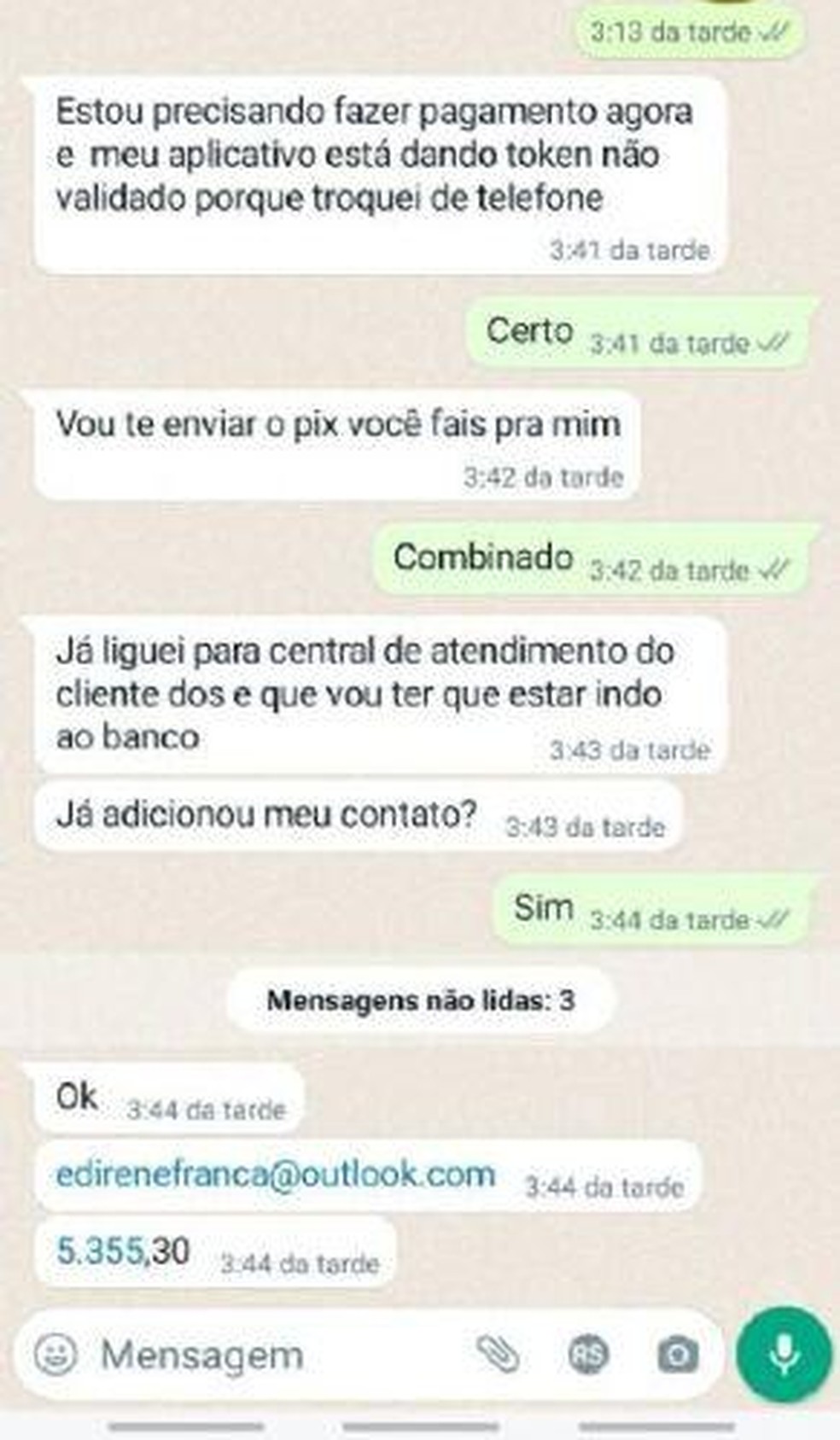 Estelionatária se passa por primeira-dama e é presa — Foto: Reprodução