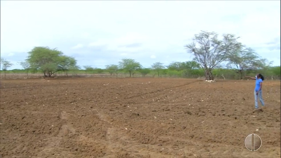 Agricultores temem chuvas abaixo da m&eacute;dia &mdash; Foto: Reprodu&ccedil;&atilde;o/Inter TV Costa Branca