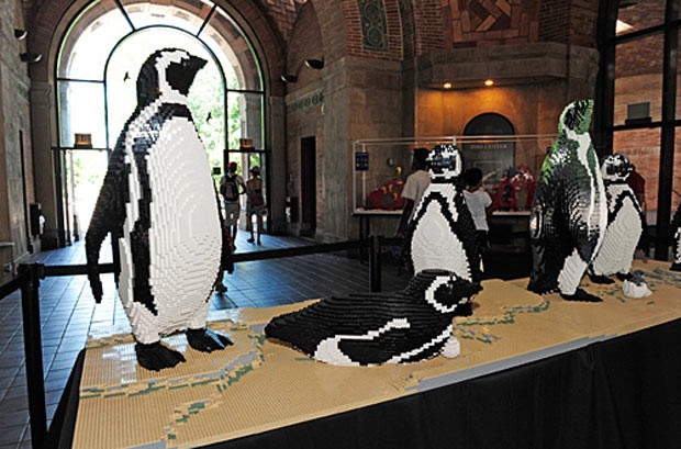 Pinguins feitos com milhares de peças de Lego (Foto: Divulgação / Bronx Zoo)