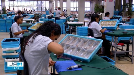 Na indústria sobram vagas e mão de obra é disputa por empresas no Tocantins