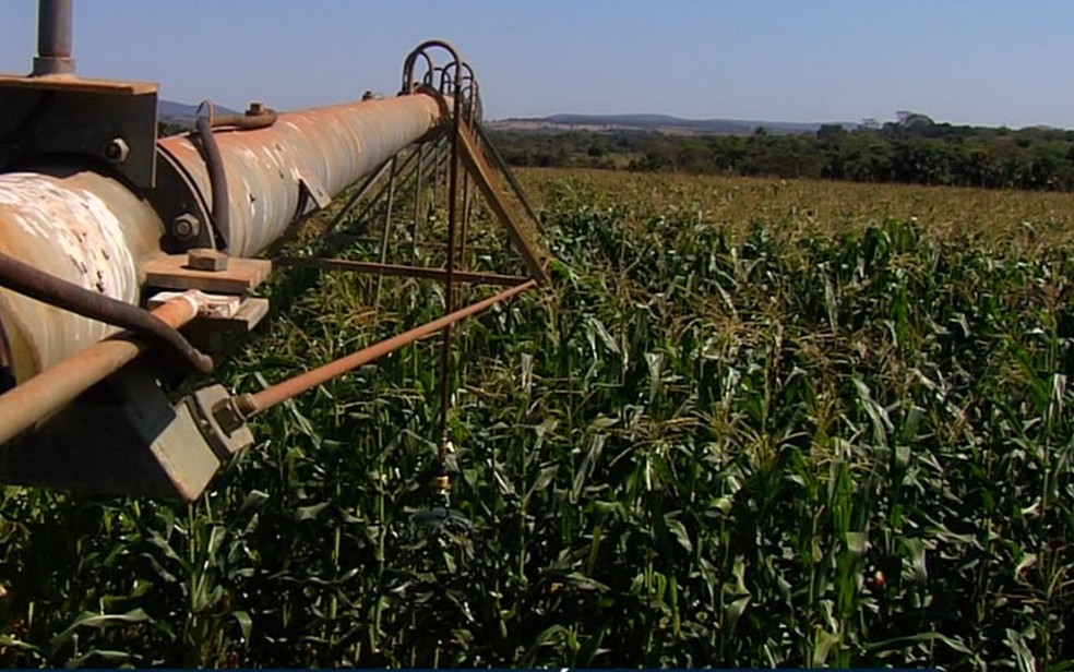 Uma das empresas que assinou a carta pretende produzir etanol a partir do milho — Foto: Reprodução/TV Anhanguera