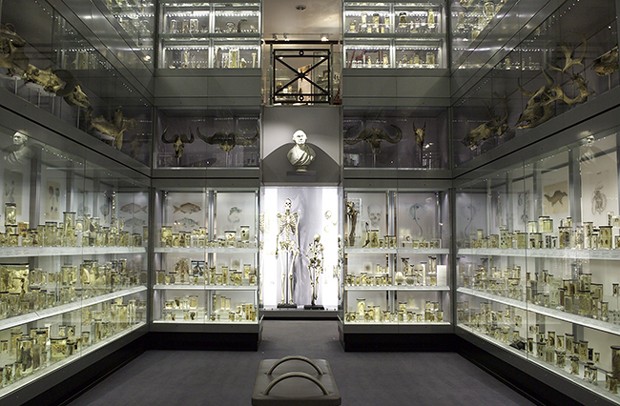 Museu de Anatomia Humana Hunterian, no Reino Unido (Foto: Divulgação)
